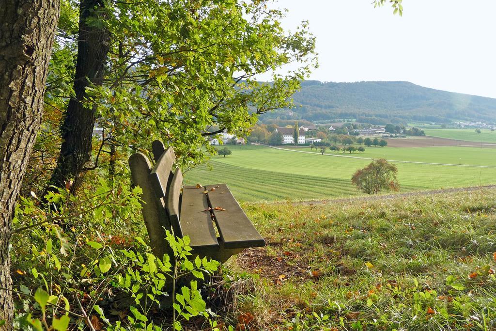 Klosterhotel Kreuz Mariastein Kültér fotó