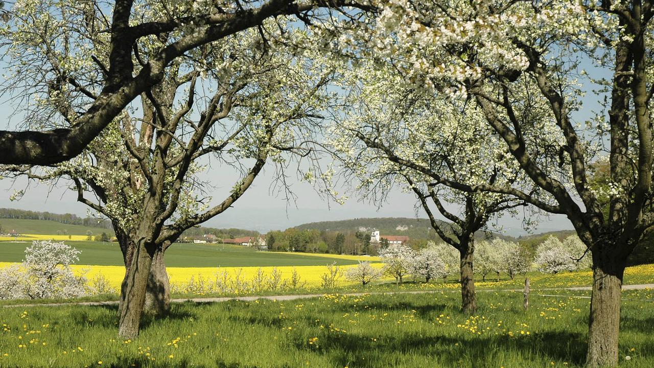 Klosterhotel Kreuz Mariastein Kültér fotó